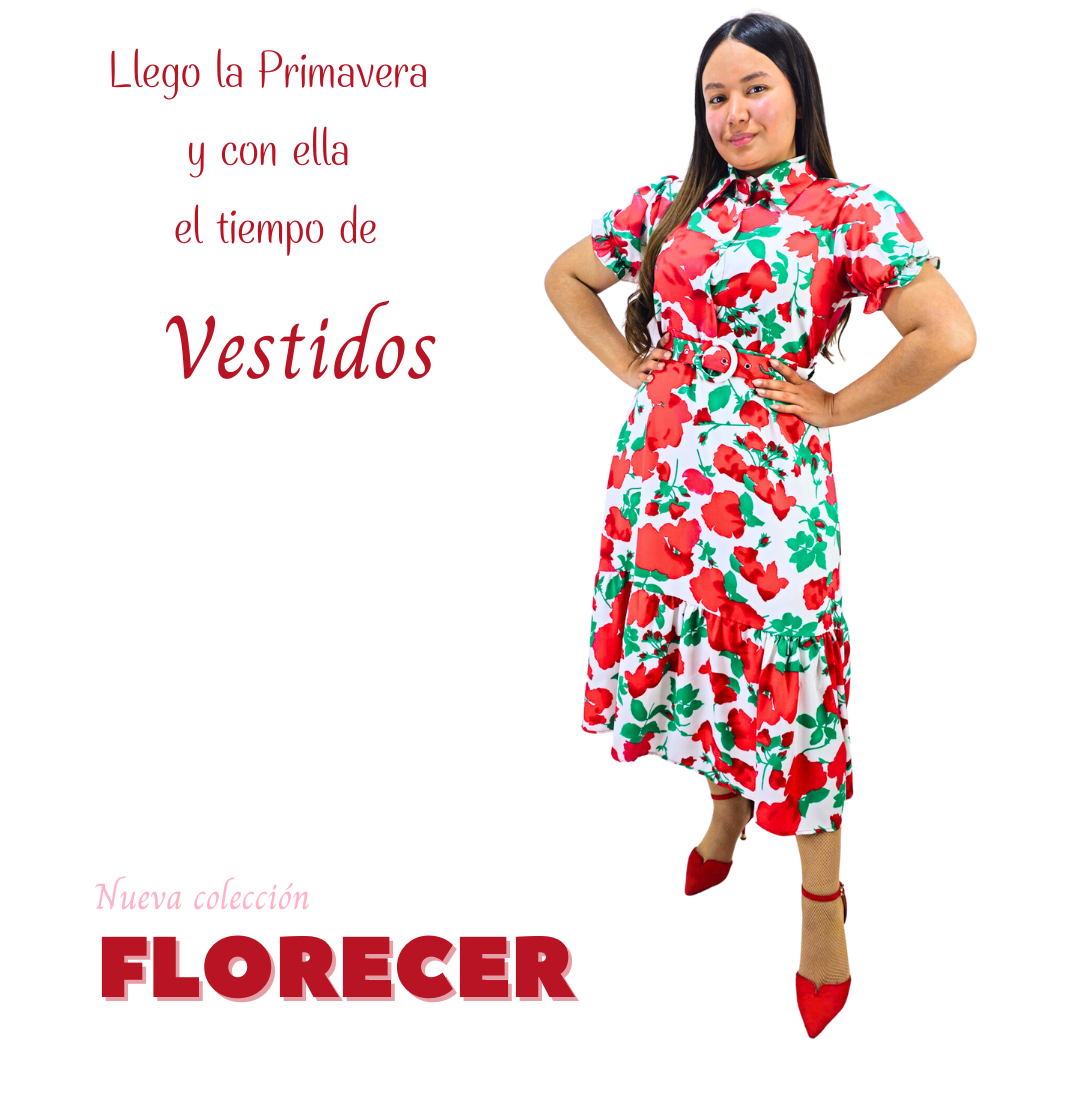 Moda Cristiana Modesta Chile Faldas y Vestidos Largos para